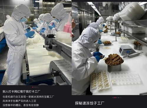 第二時(shí)間工廠游 爆火折射中國(guó)制造的發(fā)展之路